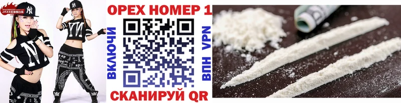 COCAIN Fish Scale  MEGA сайт  Алейск 