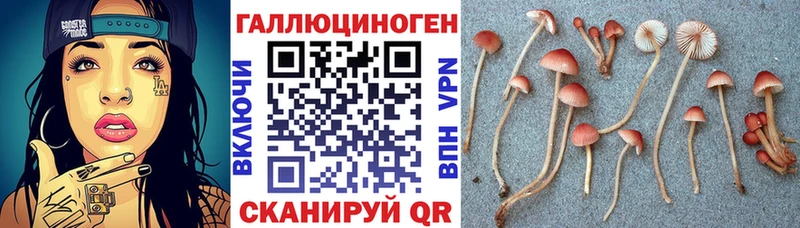 Галлюциногенные грибы Cubensis  кракен зеркало  Алейск  магазин   
